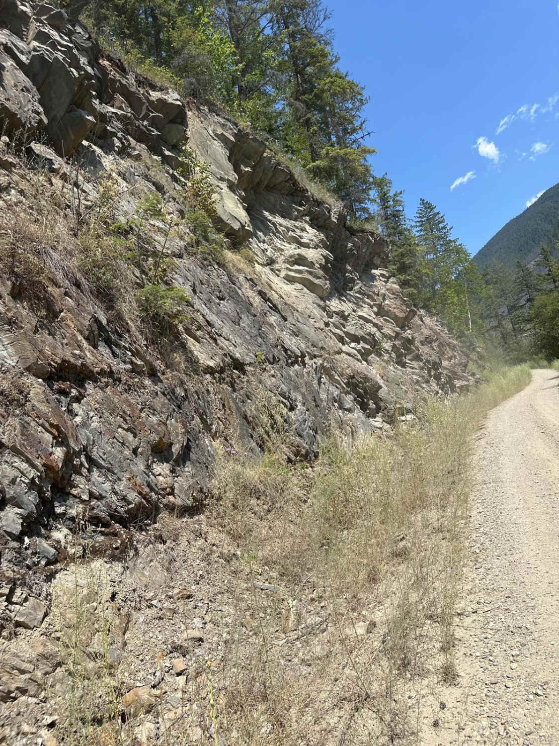 Glacier Creek FSR
