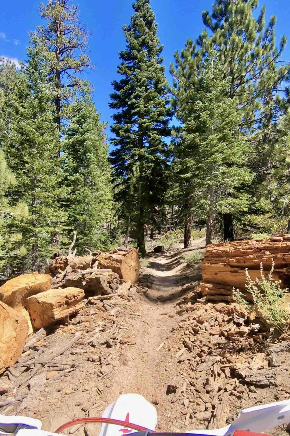 Jackass Creek, California OffRoad Trail Map & Photos onX Offroad