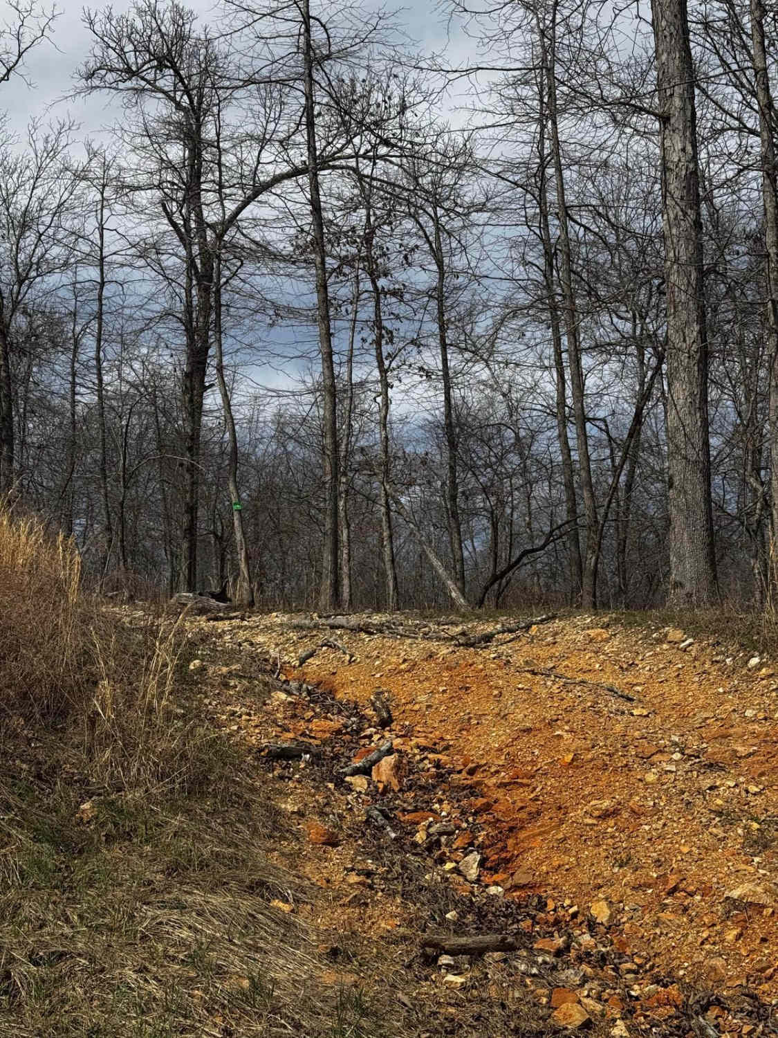 Hillside Trail 4
