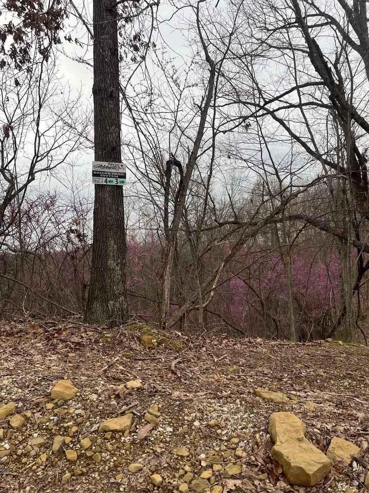 Trail 3
