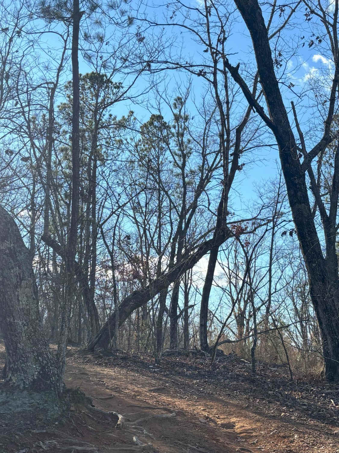 23A