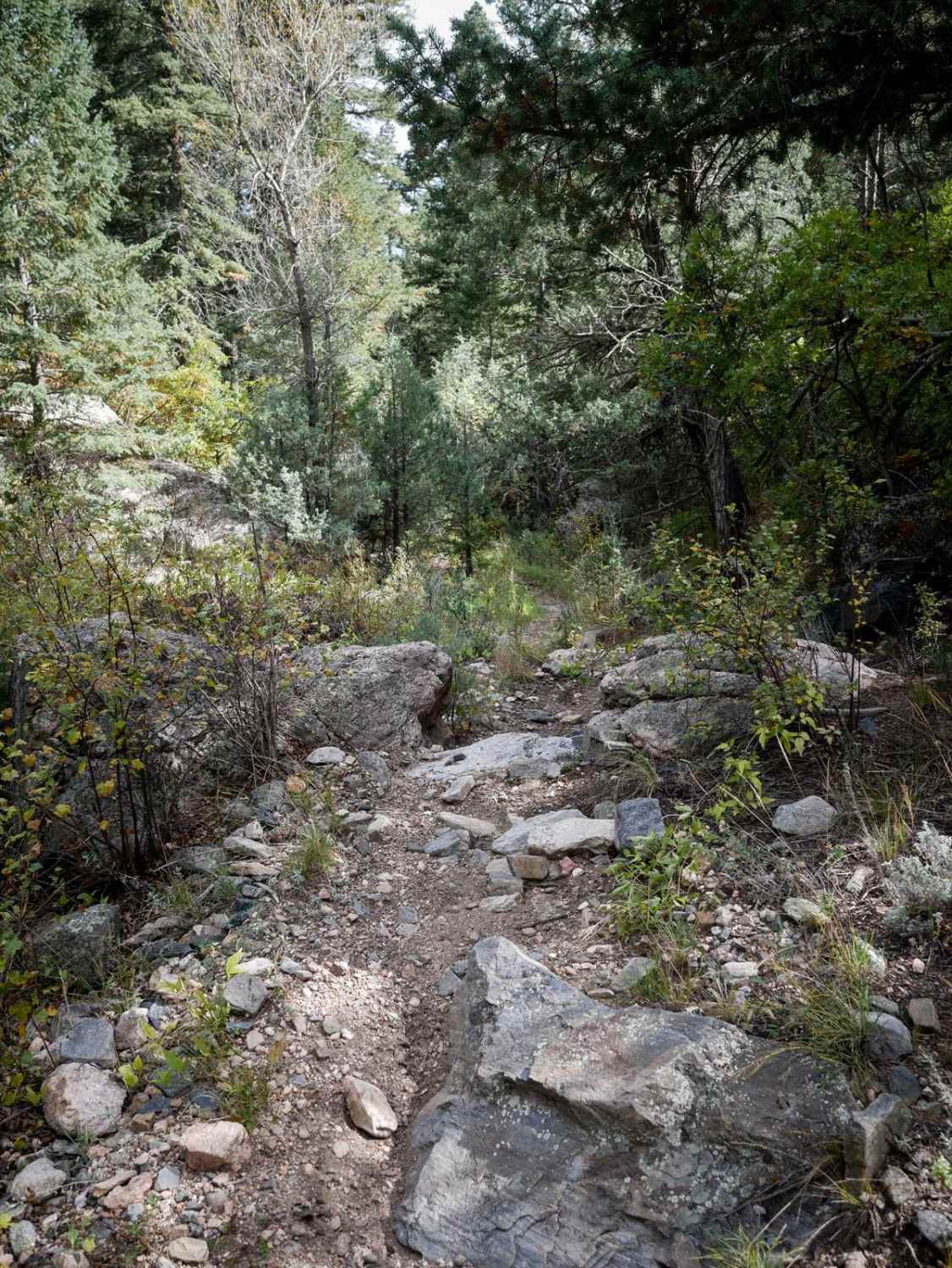 Bull Gulch Single Track - 6062