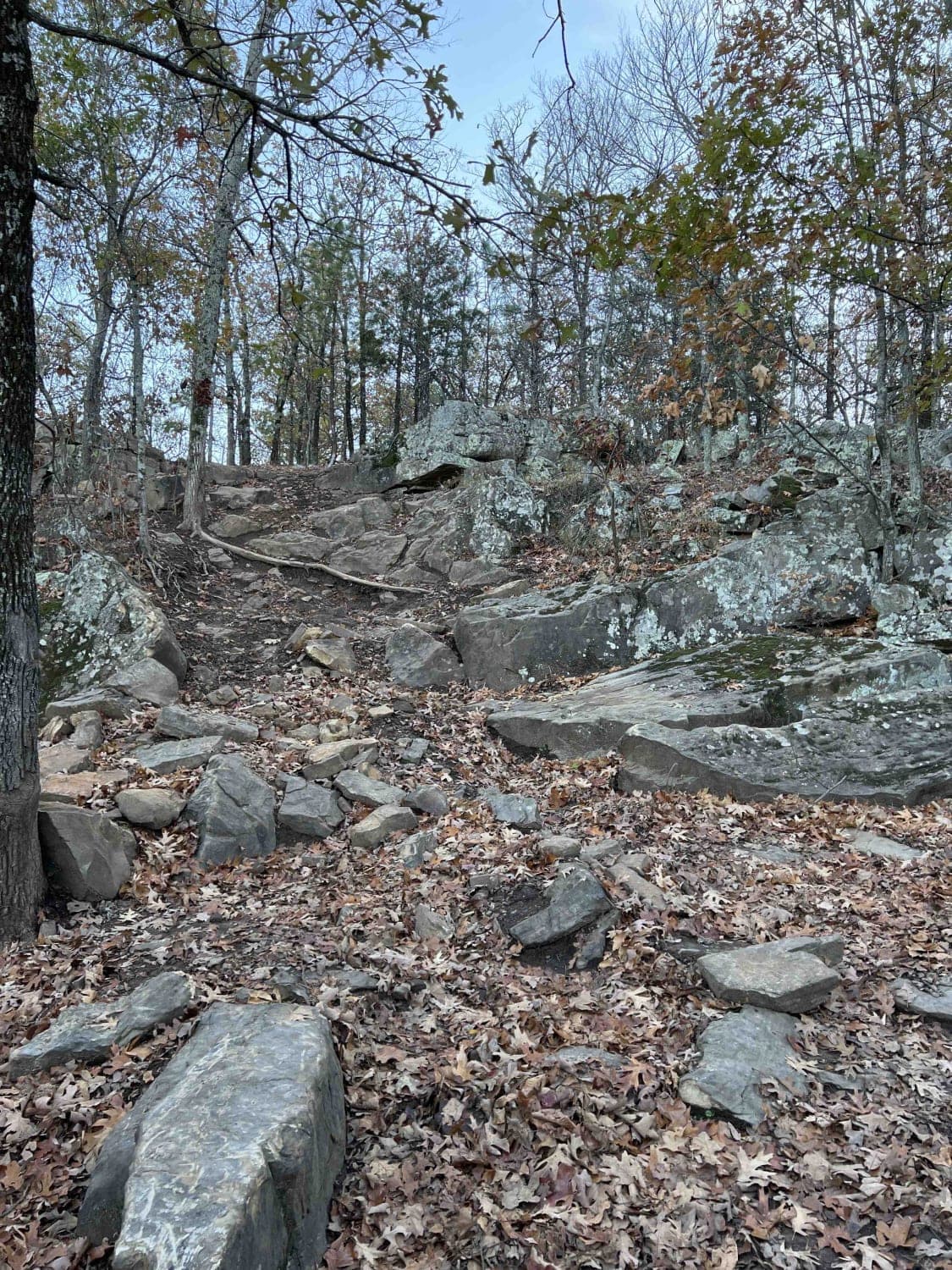 Diff Break Ridge