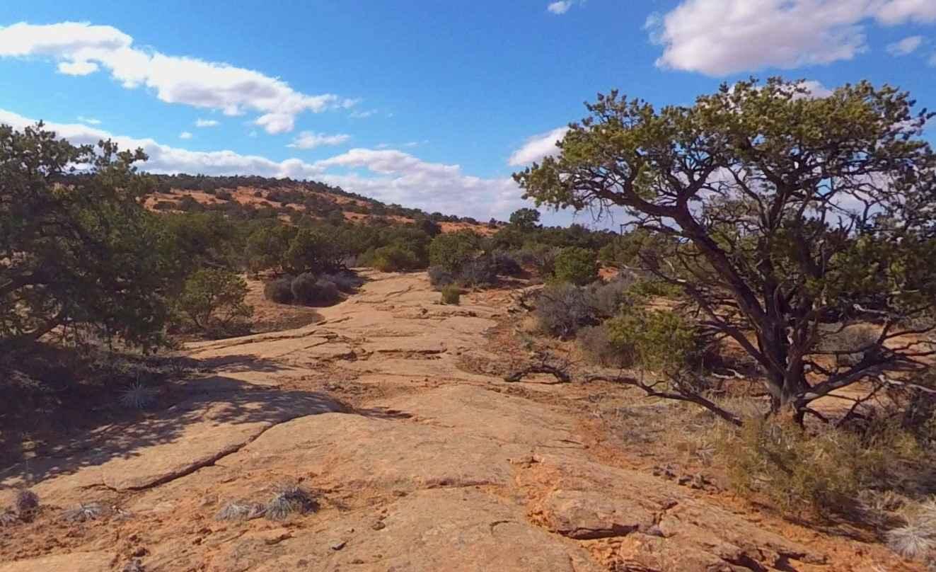 Two Pipe Springs-BLM16260