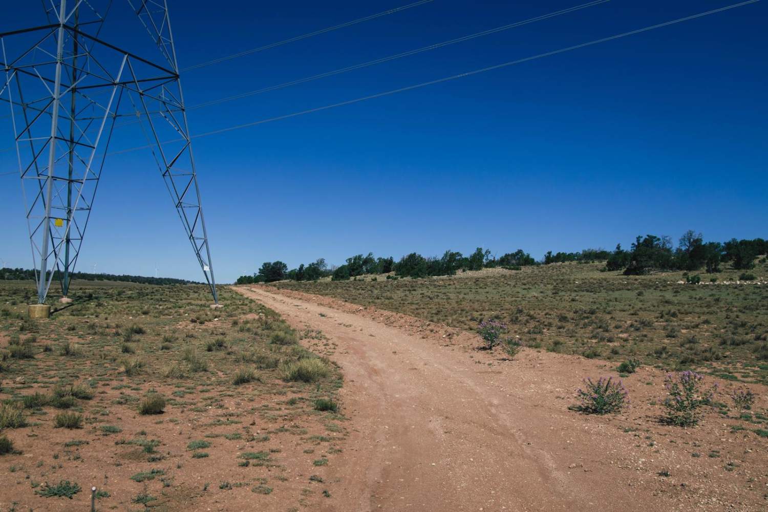 Pasture Pass