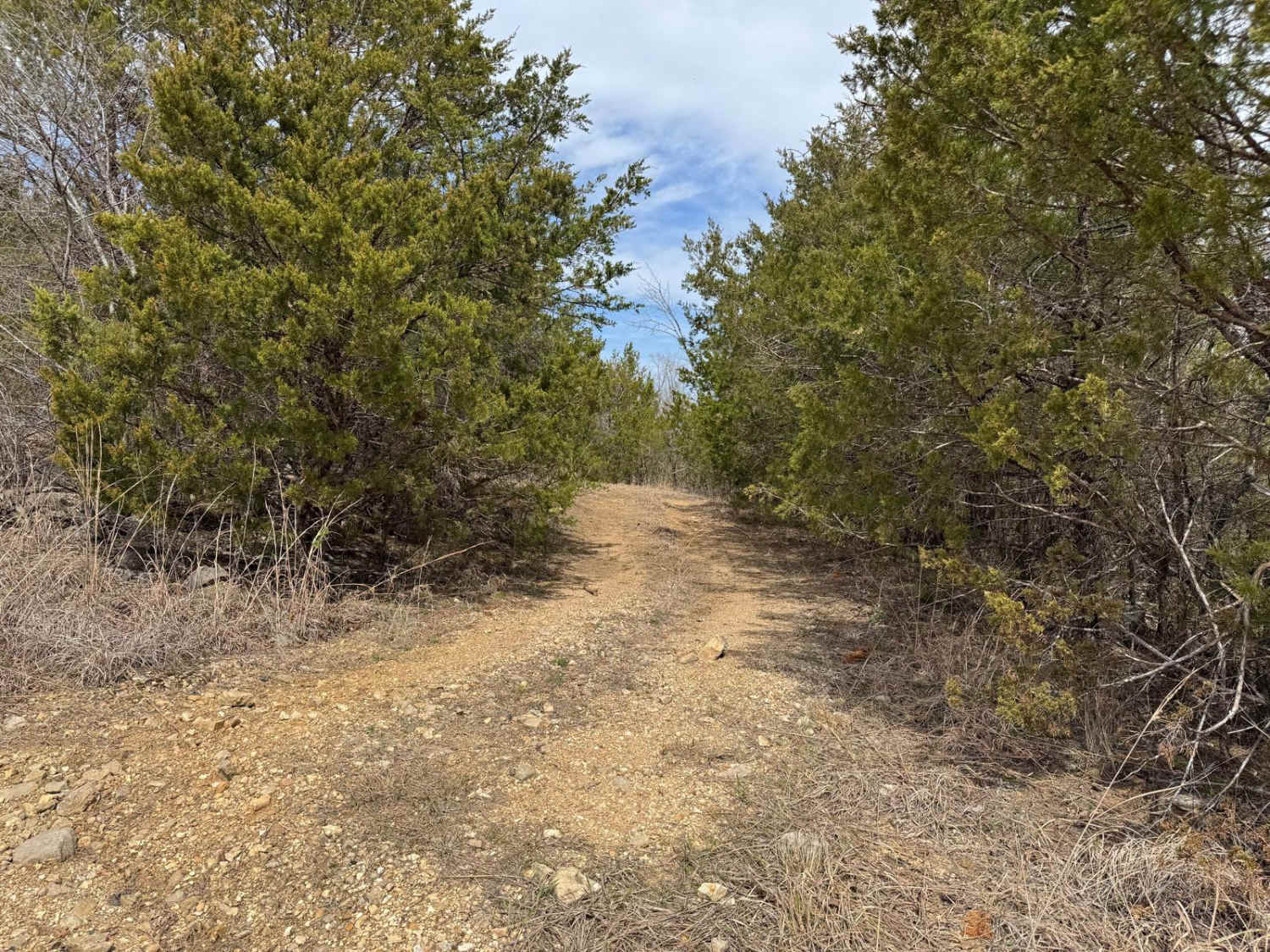 Jones Ridge - FSR 175