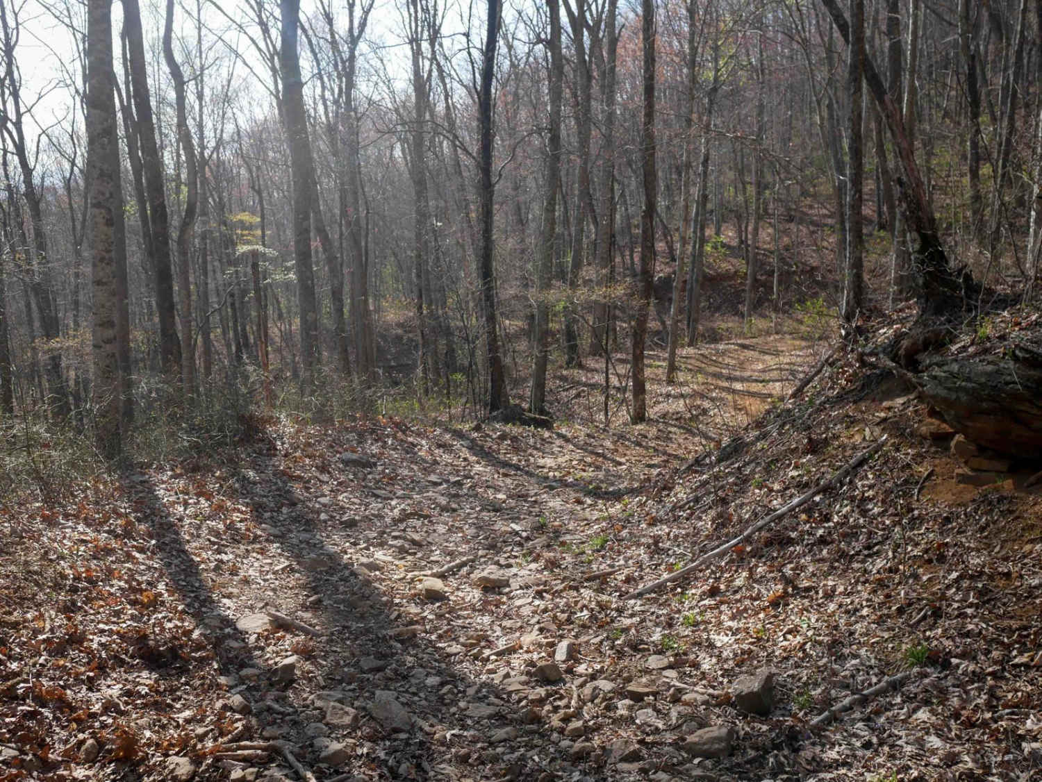 Black Mountain Trail 3 