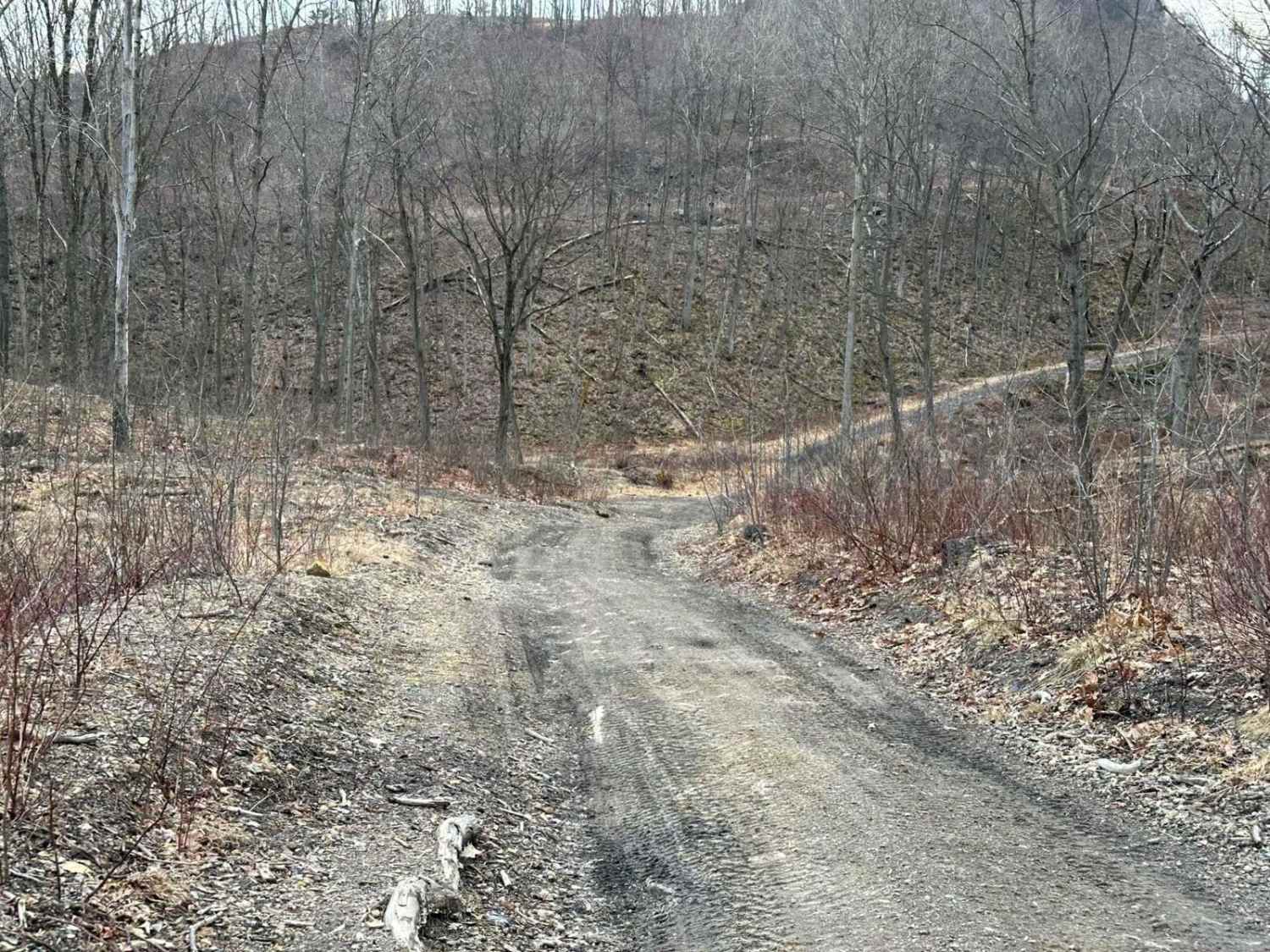 Ashland 63