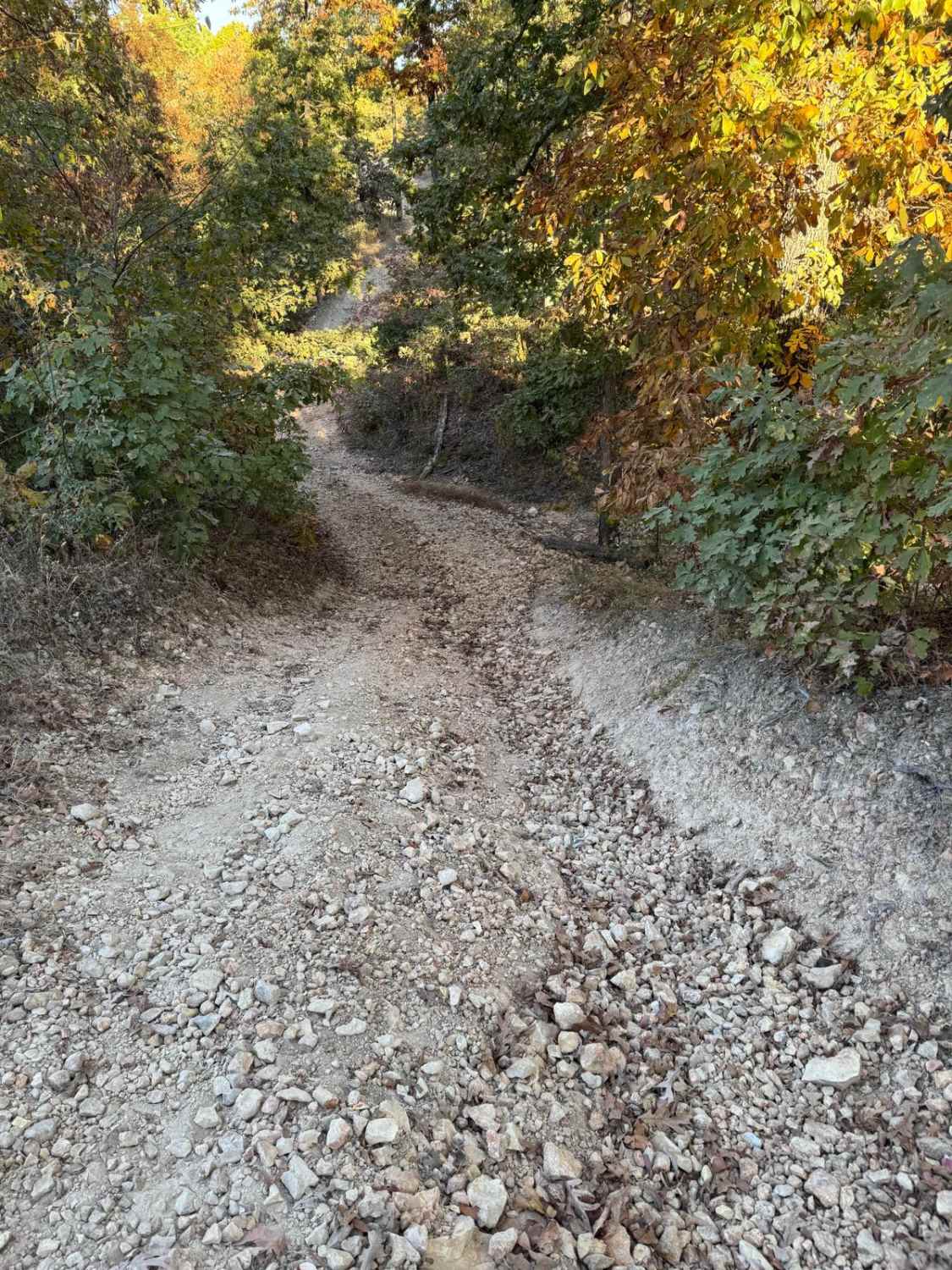Lost Bridge Trail 43