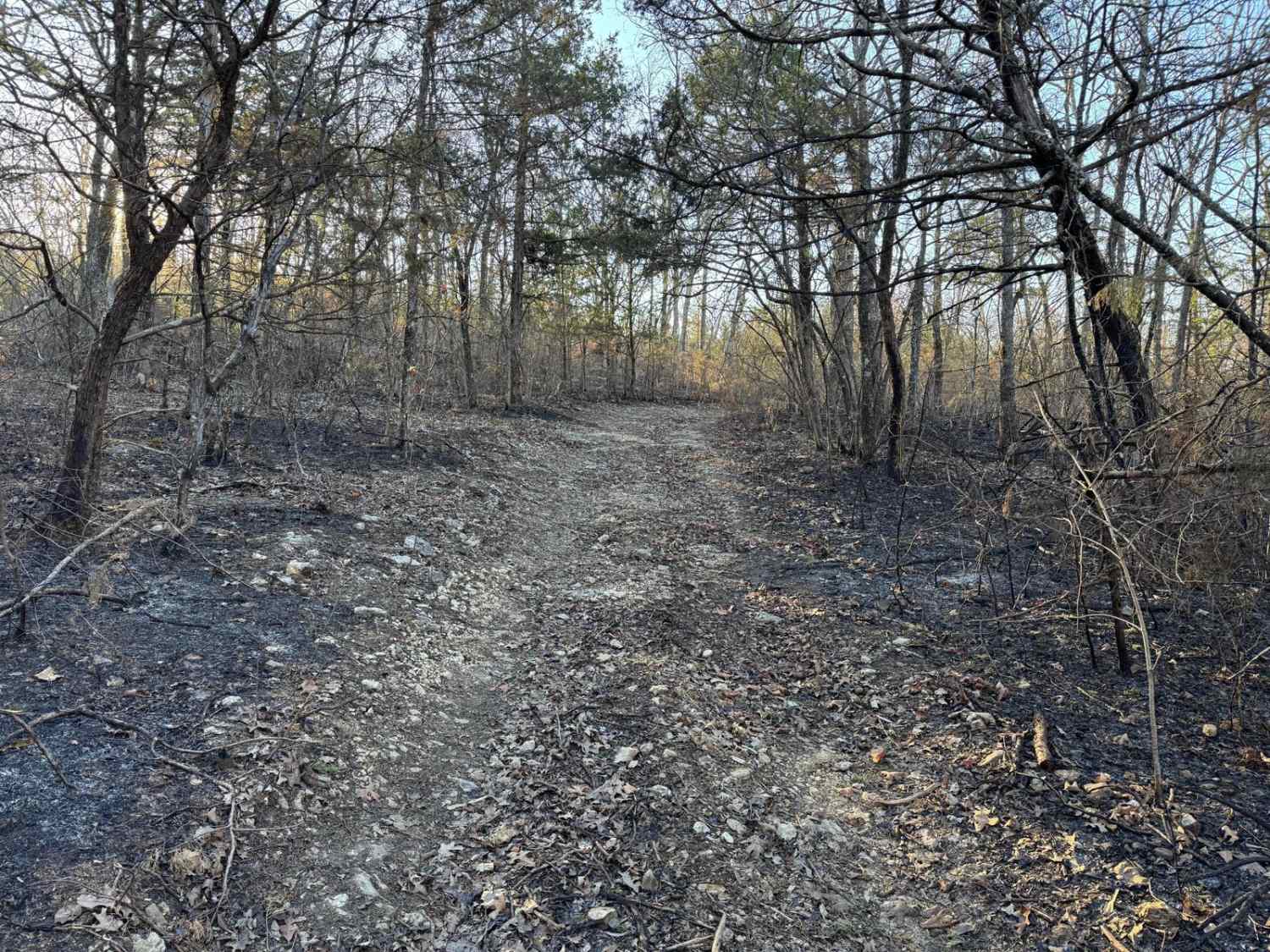 County Road 523