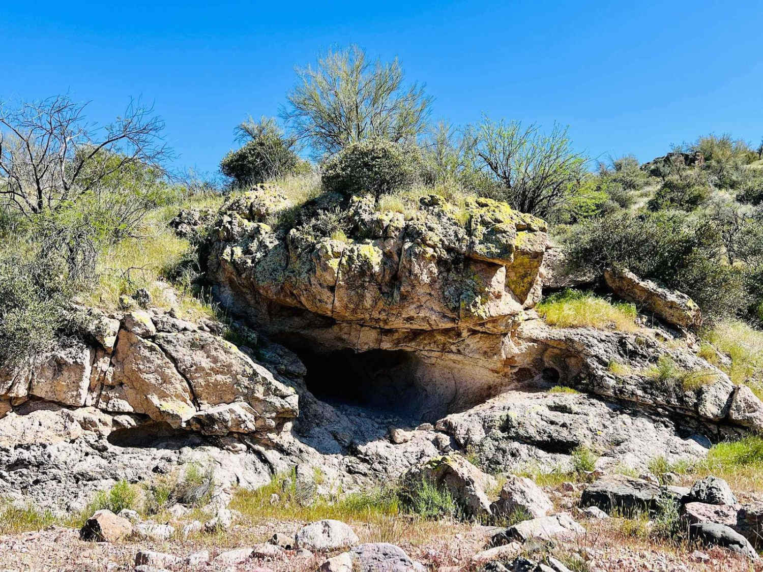 Turtleback Wash