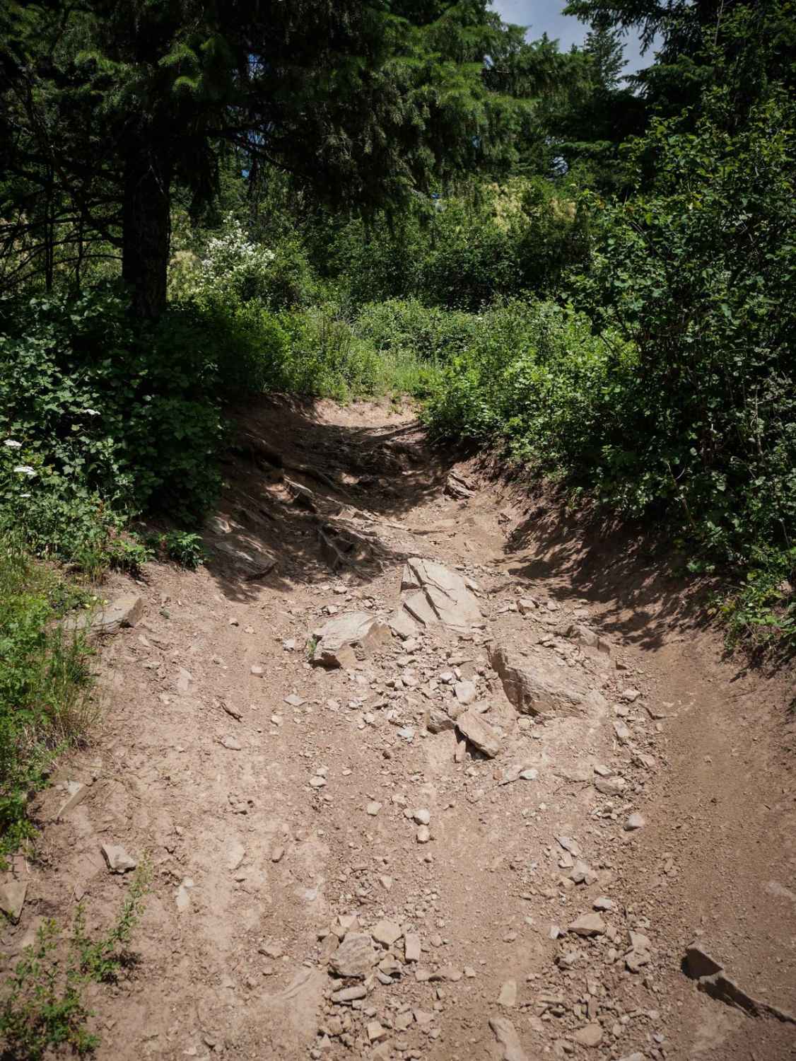 Trail 10