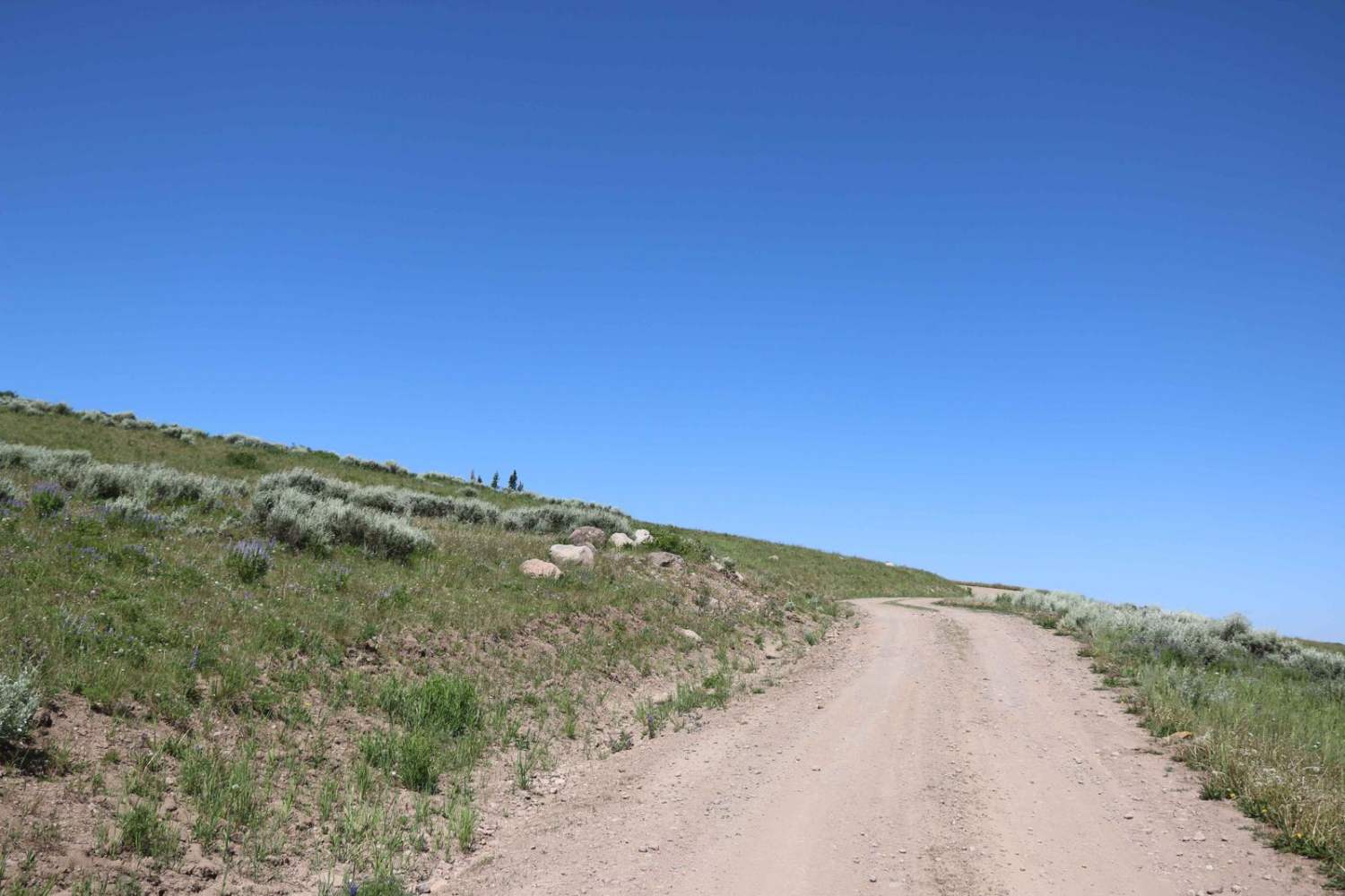 Heber Mountain Spur 1 - FS 70055