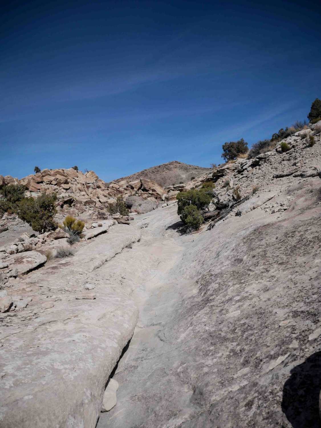 Summerville Access Trail 