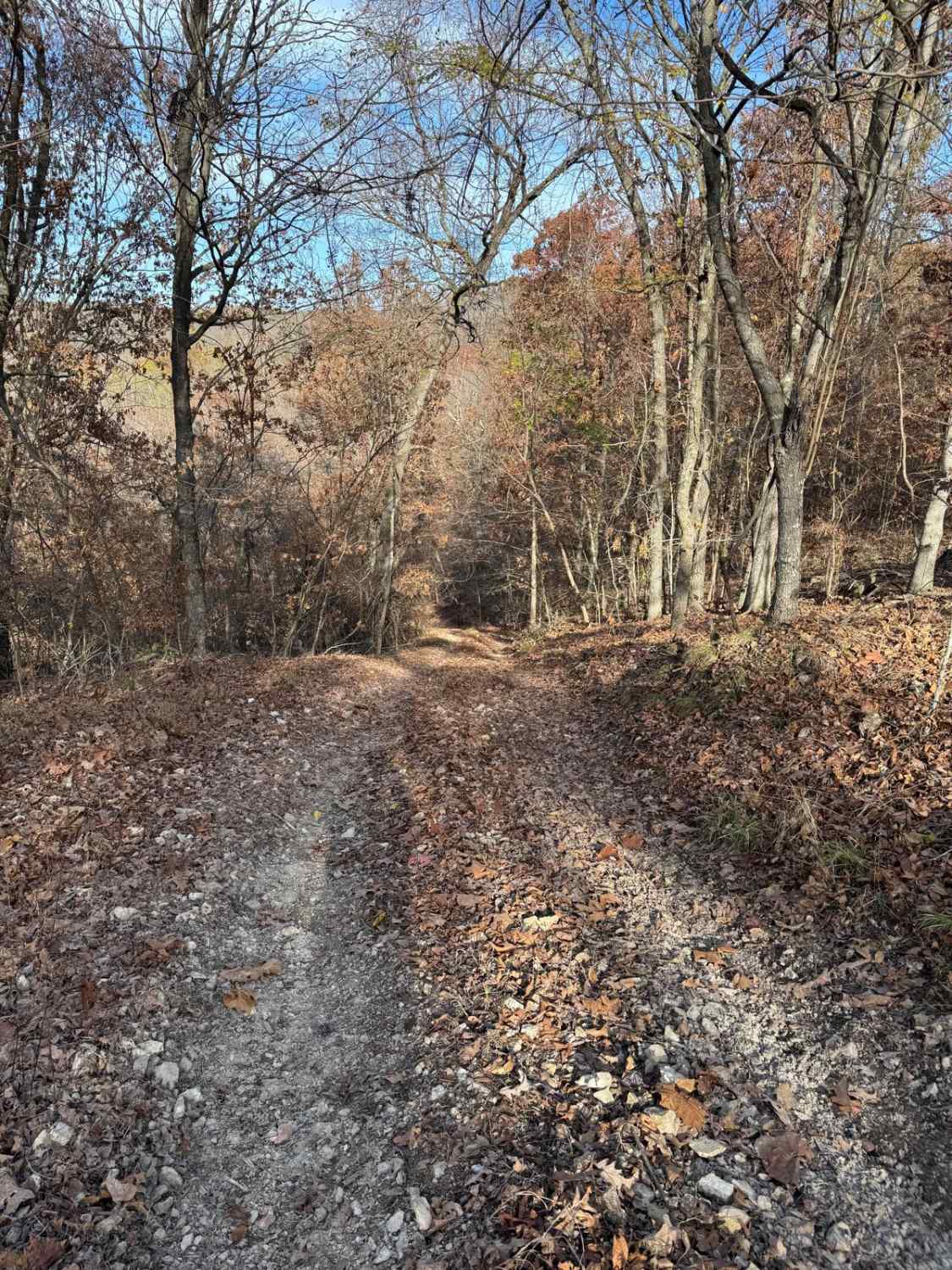 Hixon Hollow 177