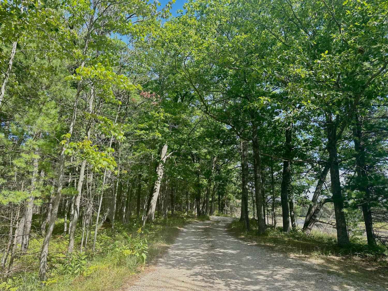Lasso Road