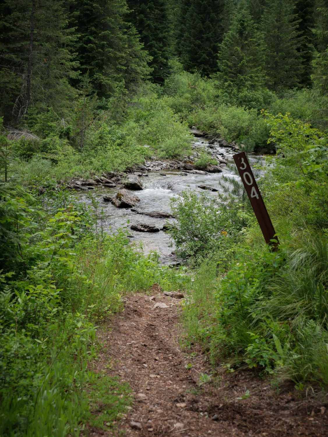 Flume Creek 