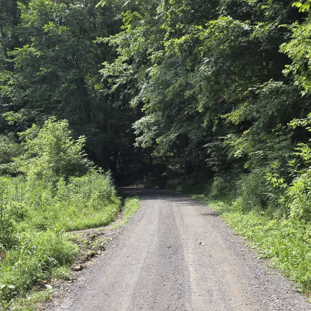 Dry Branch to Dixon Creek Road - Macon County Tour