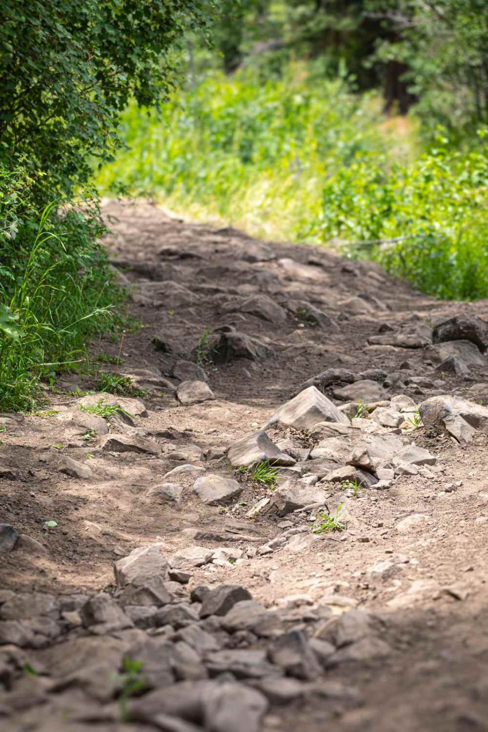 Little Valley - FR 70121