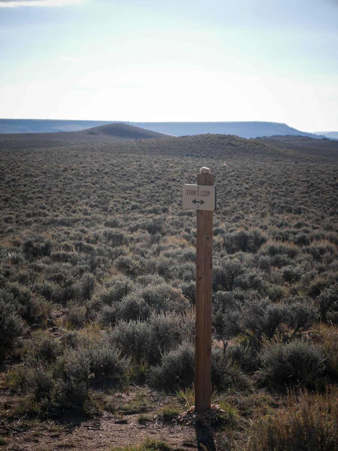 Evans Loop 