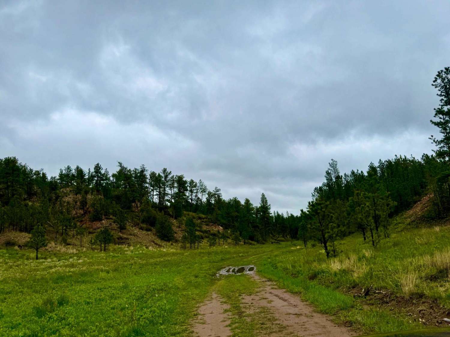 Tepee Branch Road - FS 271.1A