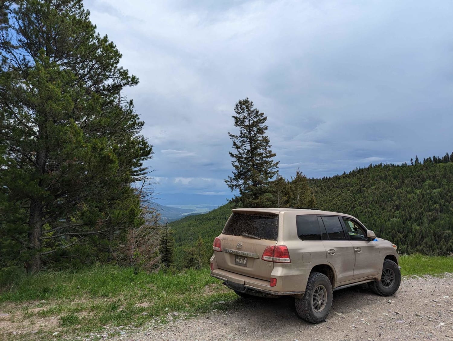 East Twin Creek Road 2117 (To Sheep Mountain hiking Trailhead)