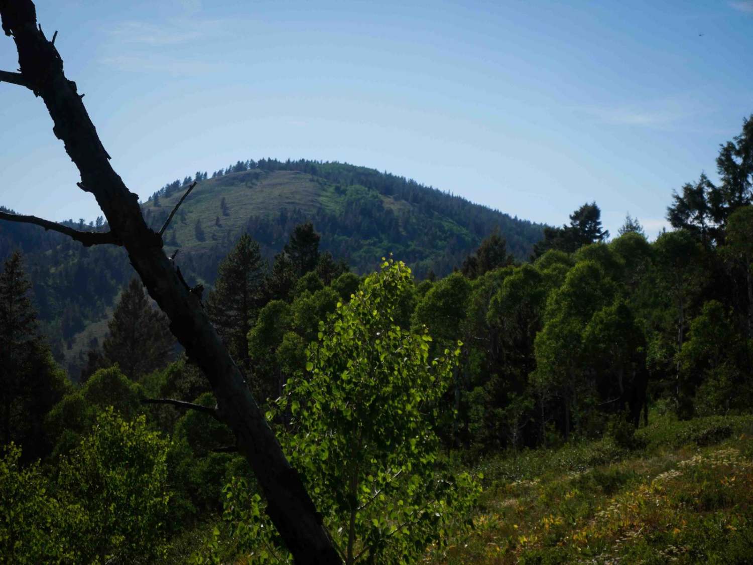 Summit View North #5260 