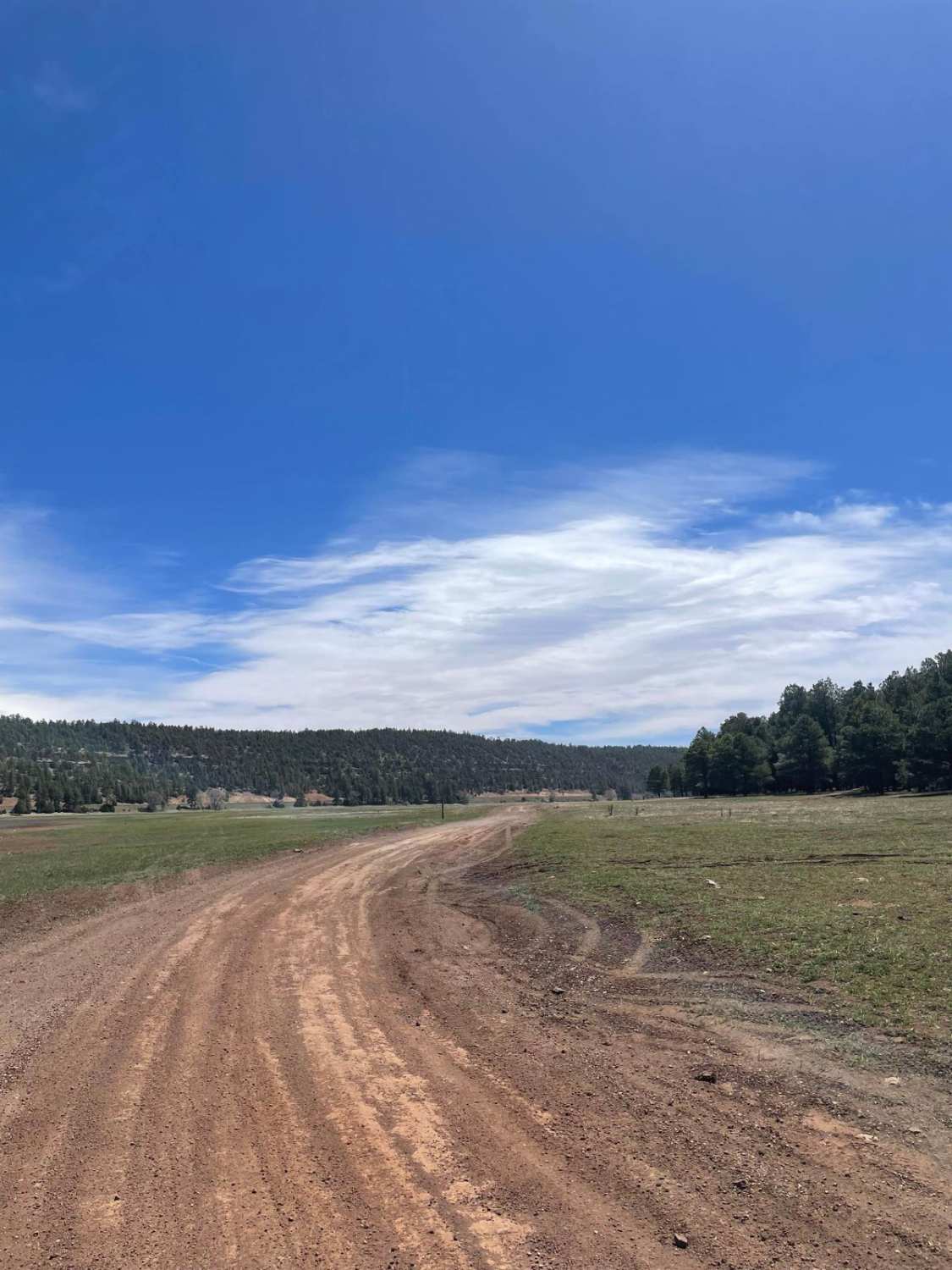 Lower Lake Mary Semi Loop