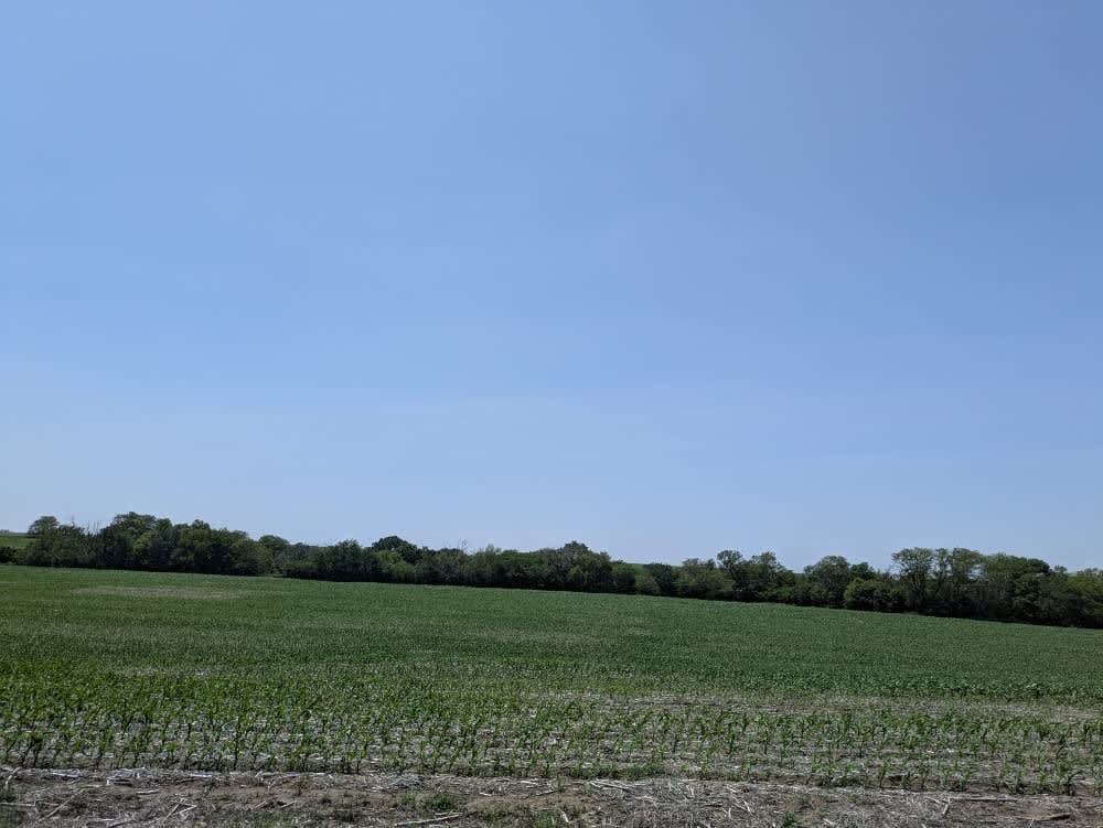 County Road S