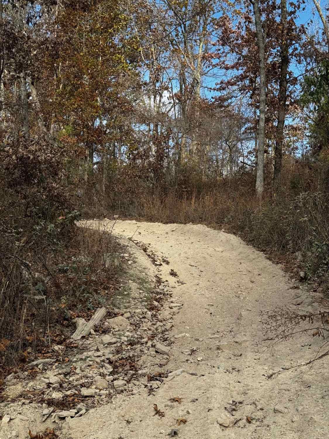 Maple Trail 