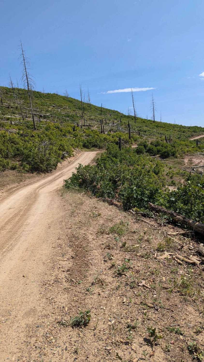 Stout Ridge