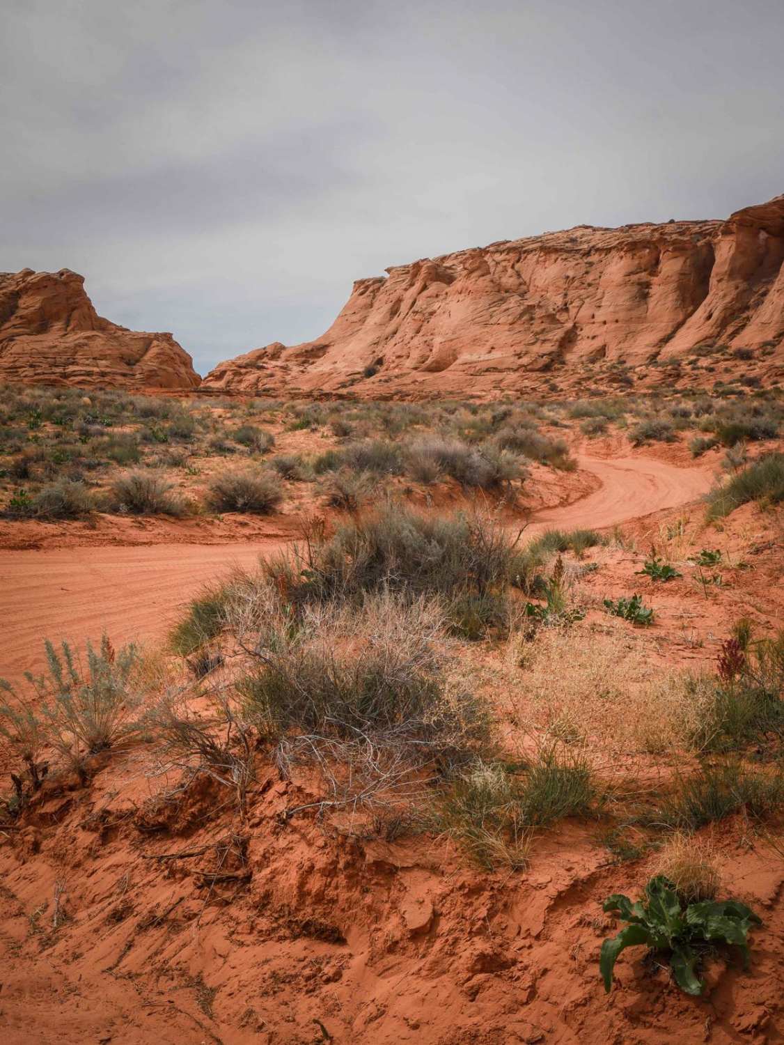 Page Trail 