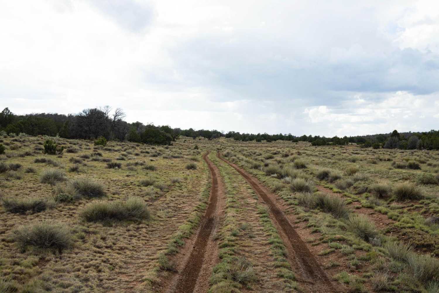 Rut Haven