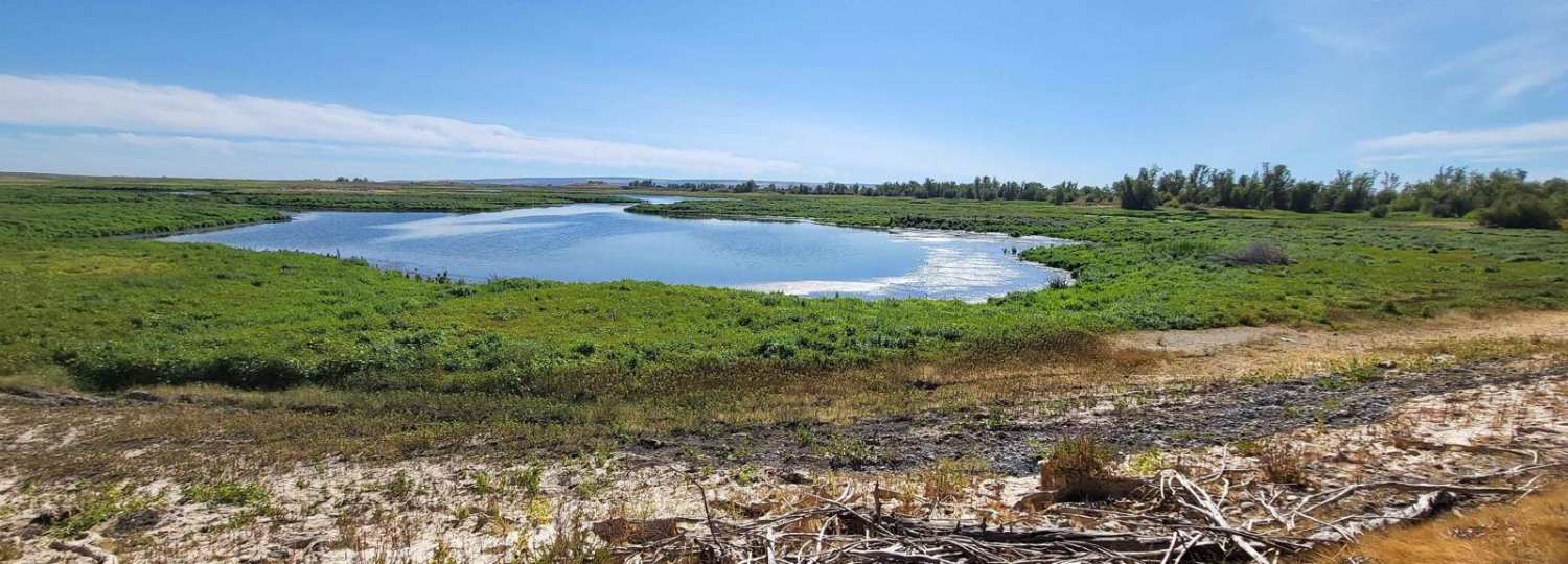 Bird Reserve