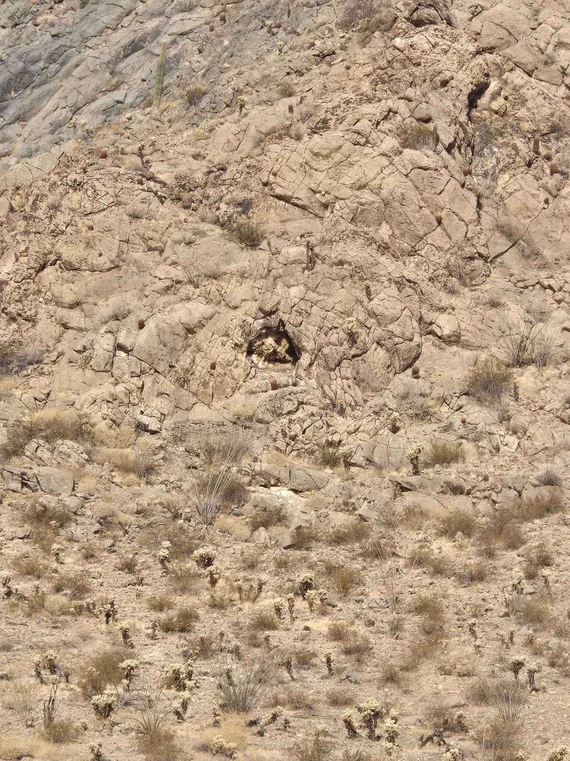 Shaky Trail