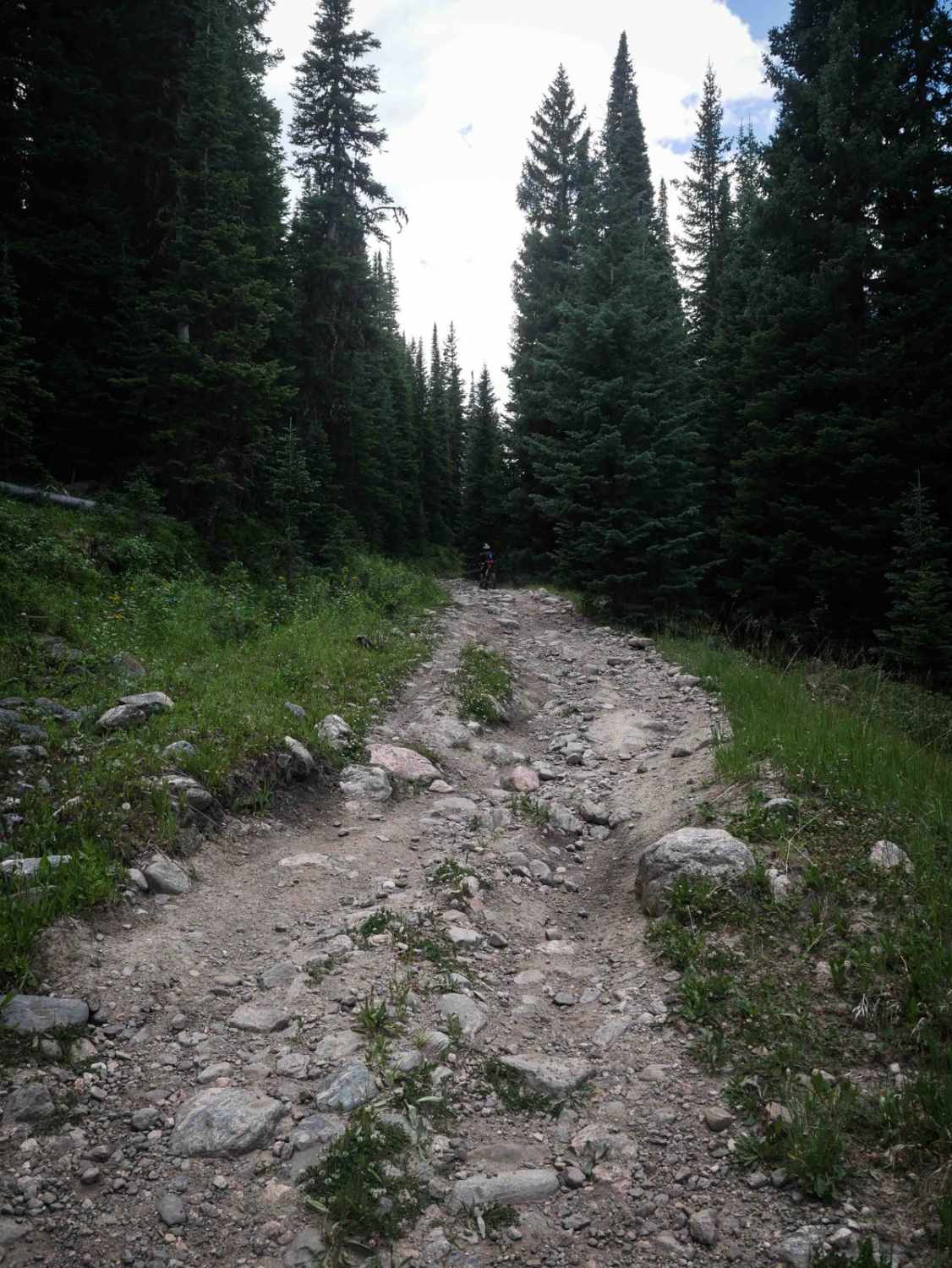 Illinois Pass Trail