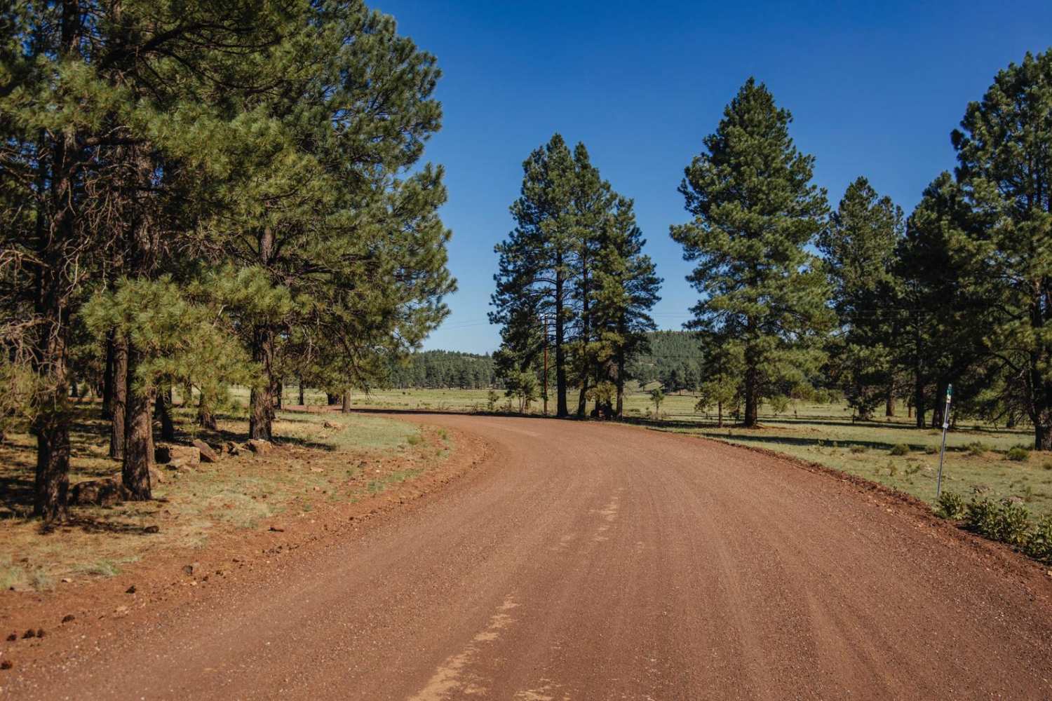 Beale Wagon Road Main
