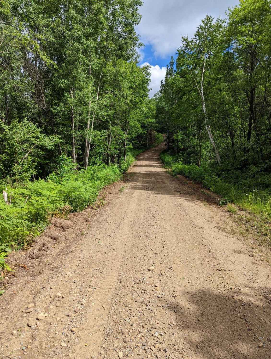 Nicolet State Trail - Bushafer to Wabeno