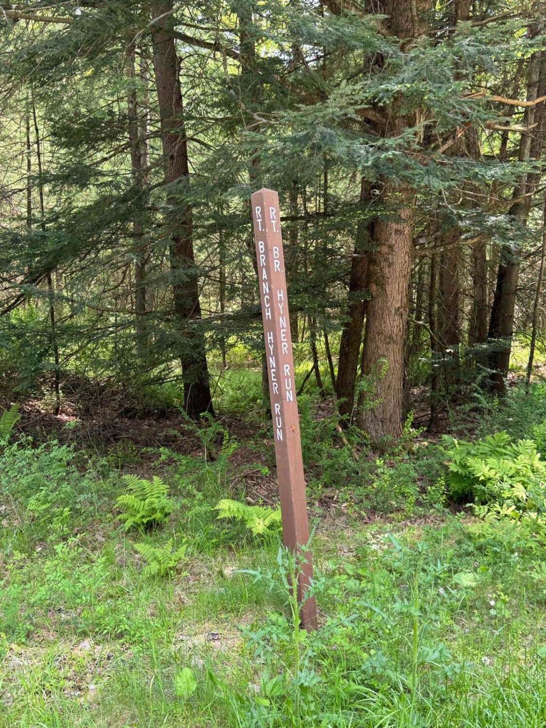 Right Branch Hyner Run Road