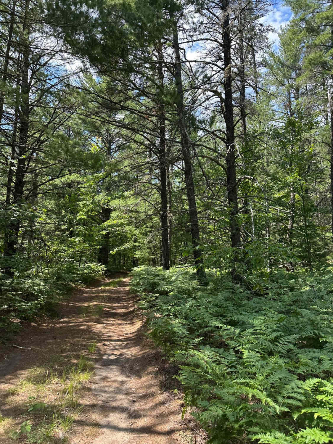 County Road 421 North Spur