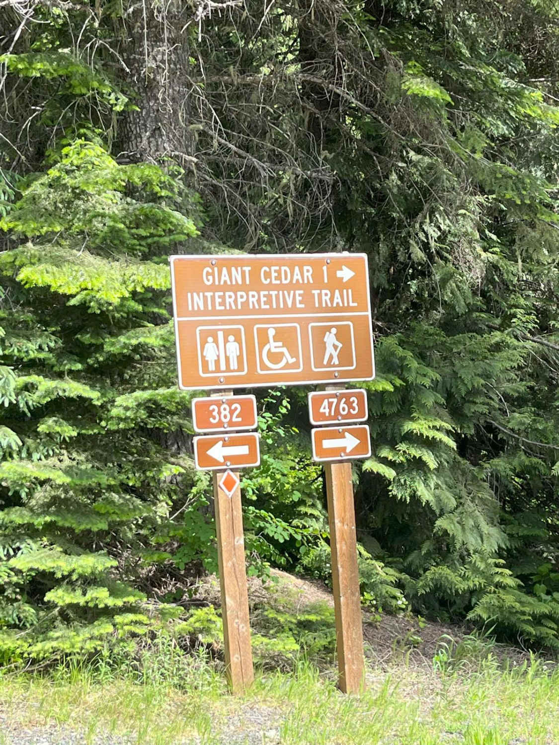 Elk Creek