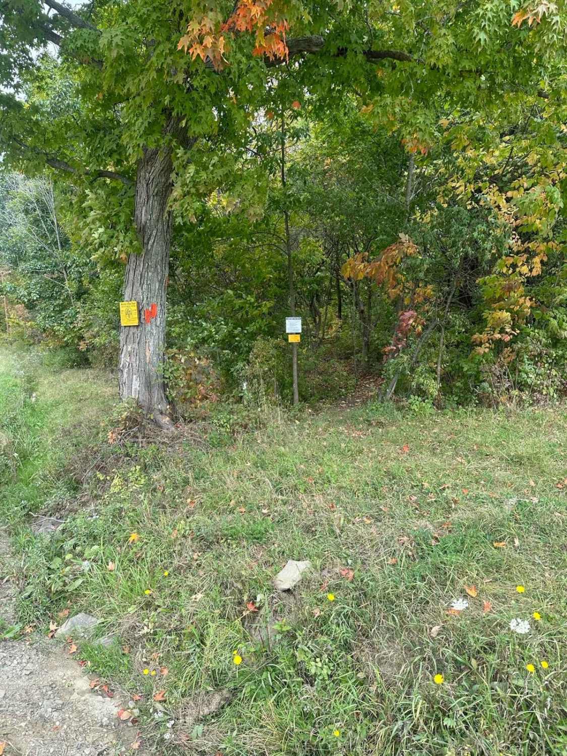 Pizura Road (Seasonal)