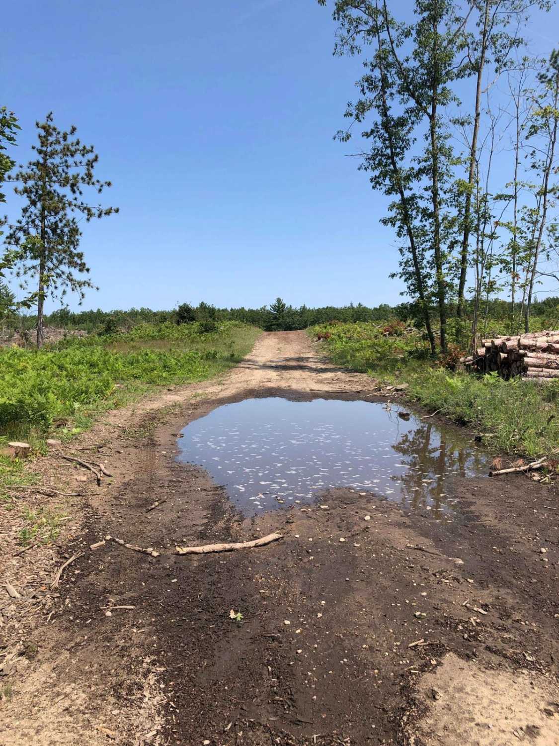 Logging Lane