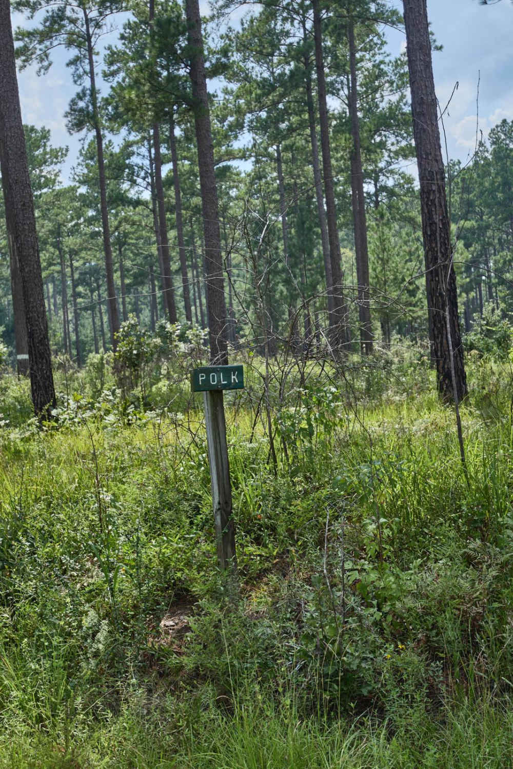 Polk Road