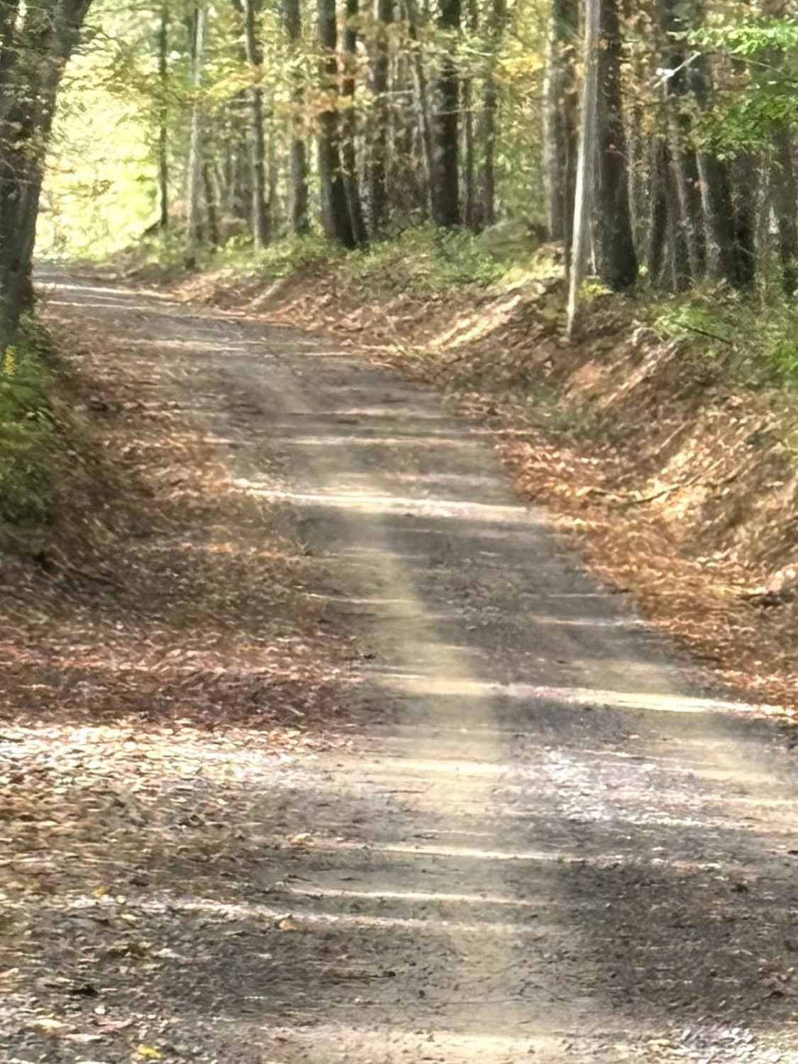 Sugarloaf to Flat Rock Trail