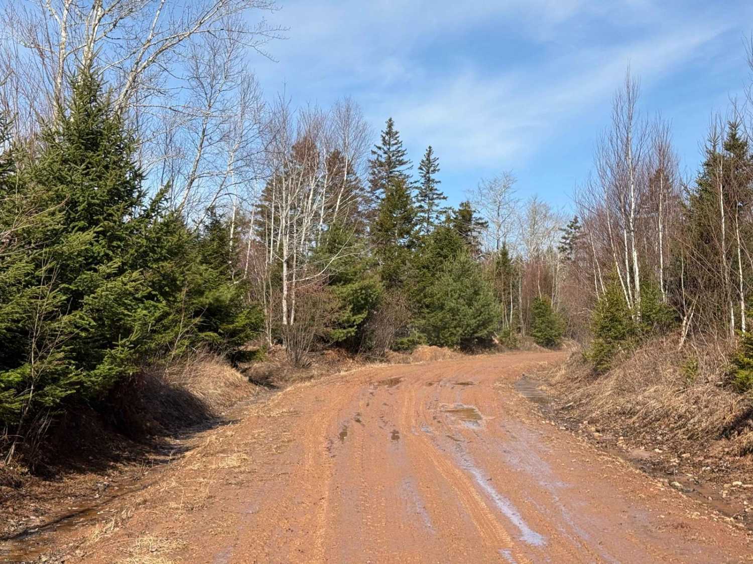Mill Road