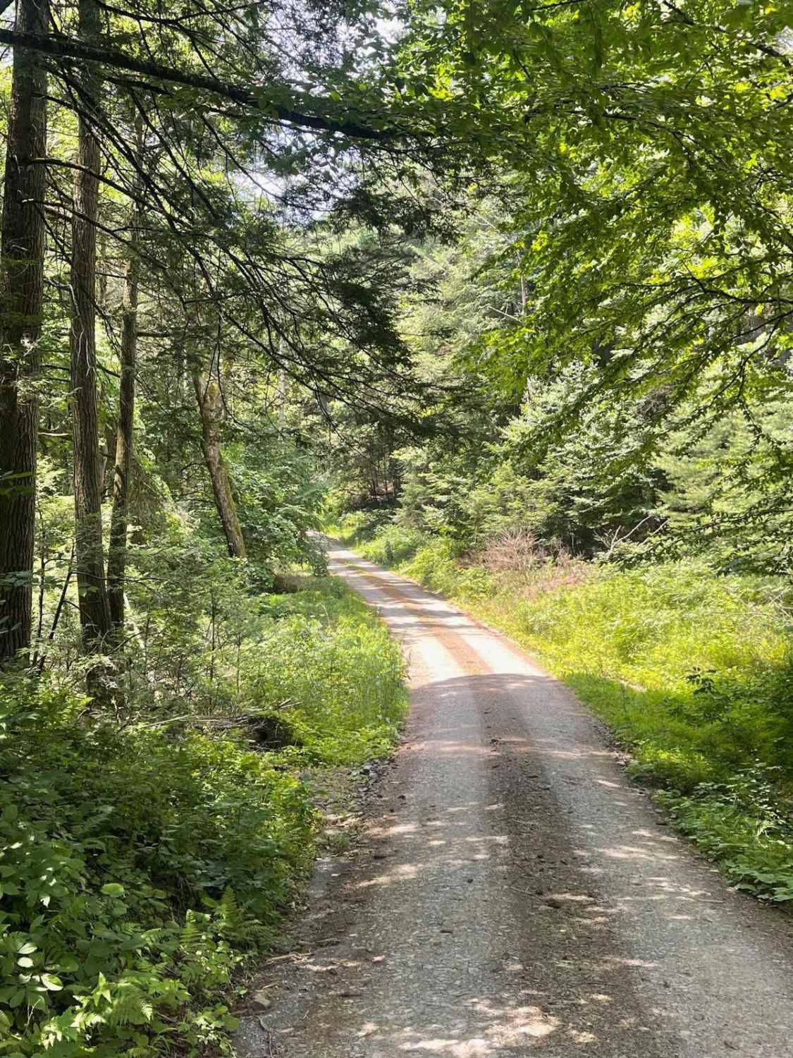 Schwenks Gap Road