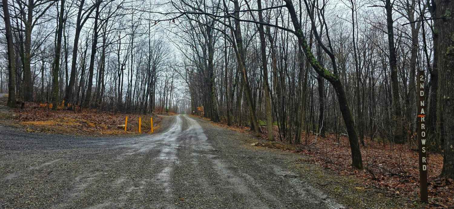 Second Narrows Road