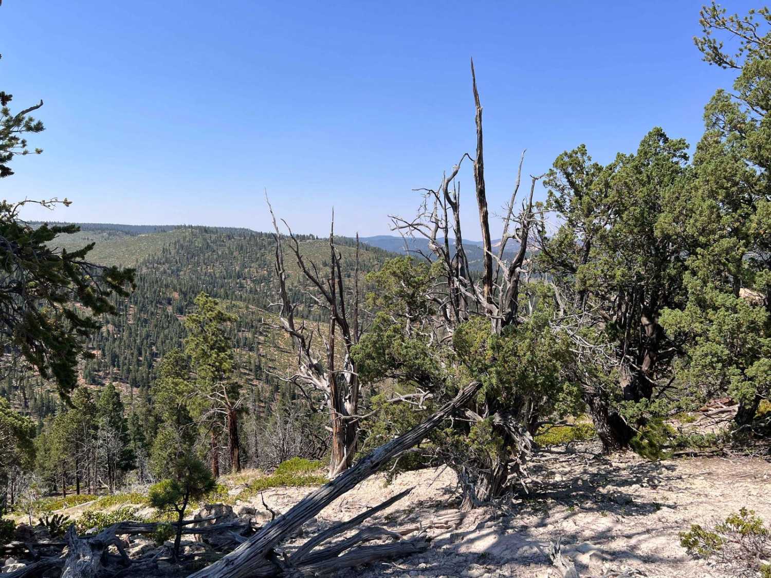 Dave's Hollow - BLM30088