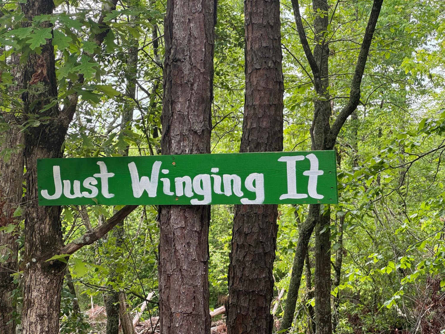Just Winging It